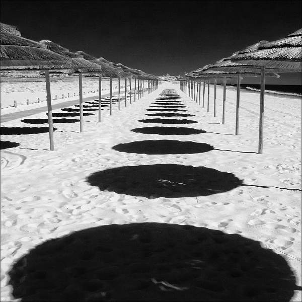 Sunshades 3.jpg